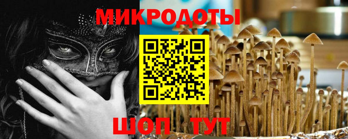 Галлюциногенные грибы мицелий Железногорск