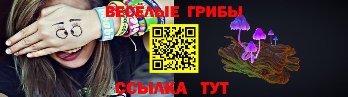 Железногорск  где купить наркоту  Вход с VPN  Галлюциногенные грибы Cubensis  Псилоцибиновые грибы Psilocybine cubensis 